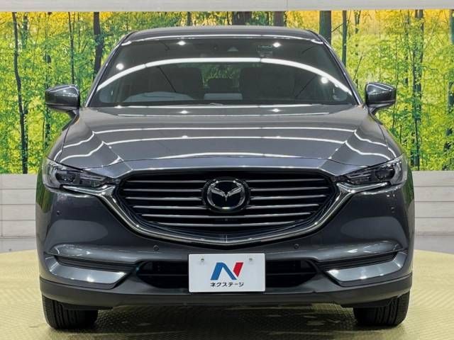 Mazda CX-8 2018-09 188667-15