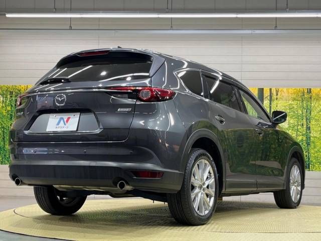 Mazda CX-8 2018-09 188667-18