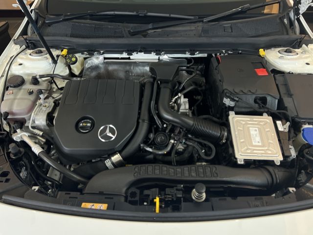 Mercedes Benz A-CLASS 2018-12 184869-12