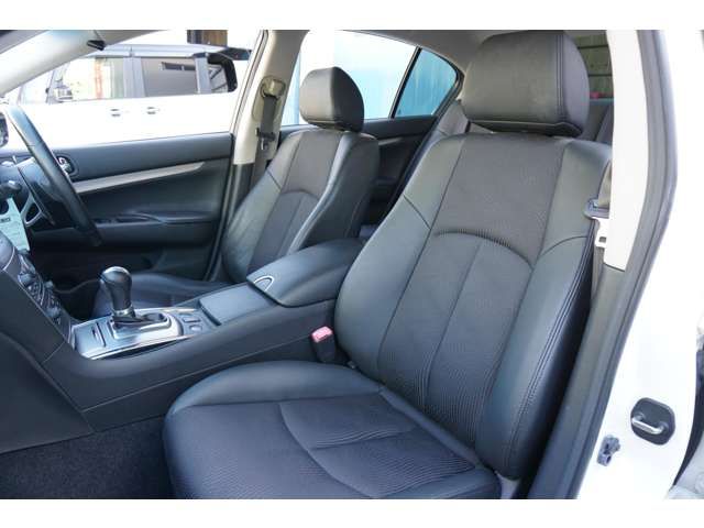 Nissan SKYLINE 2010-02 22619-7