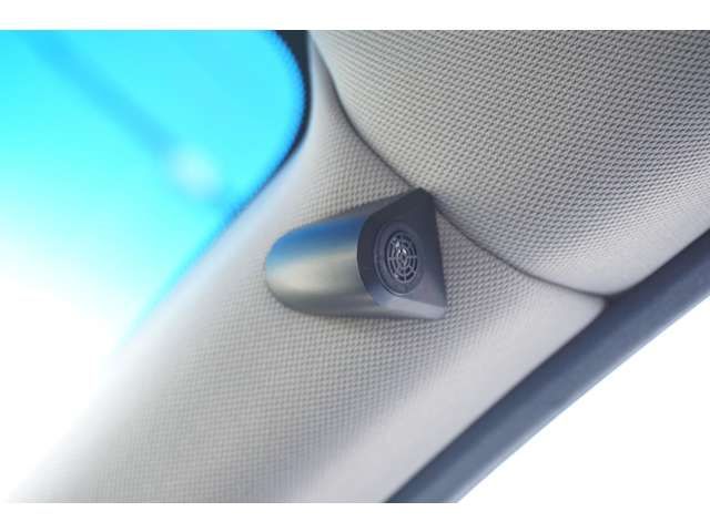Nissan SKYLINE 2010-02 22619-10