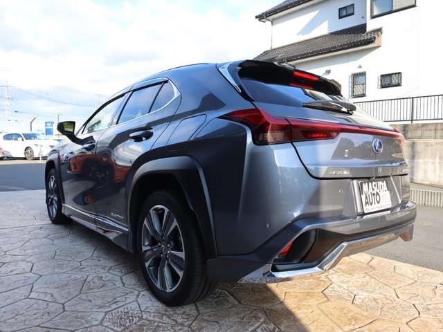 Lexus UX 2022-03 12122-4
