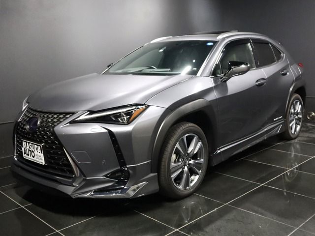 Lexus UX 2022-03 12122-0