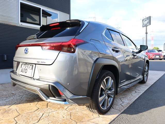 Lexus UX 2022-03 12122-6
