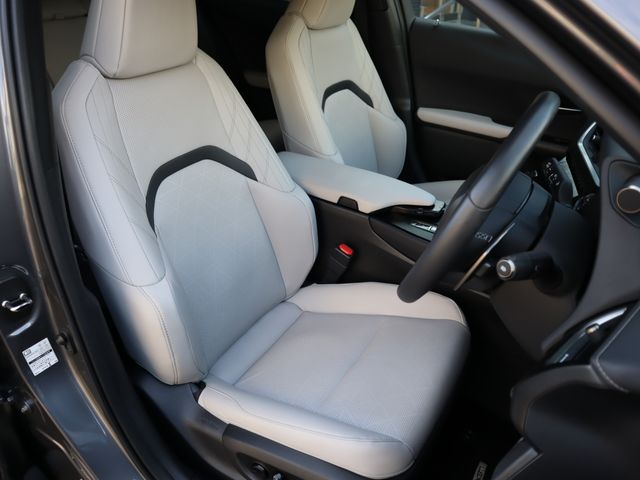 Lexus UX 2022-03 12122-8
