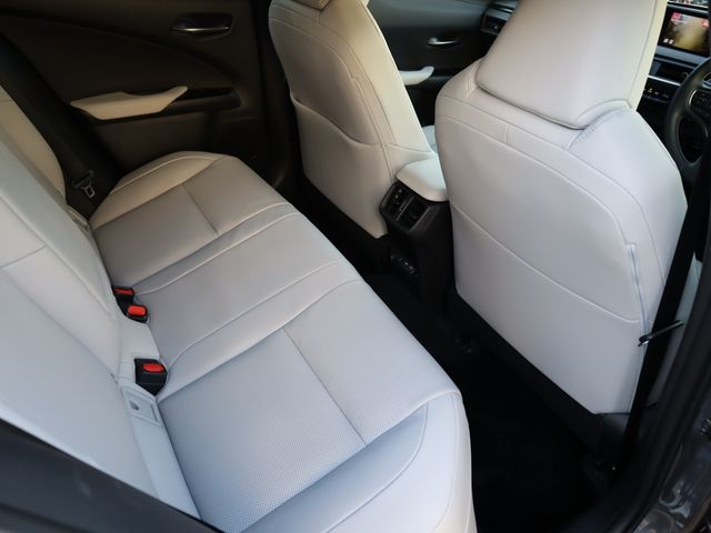 Lexus UX 2022-03 12122-10