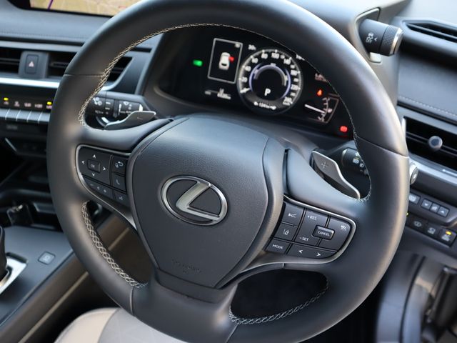 Lexus UX 2022-03 12122-12