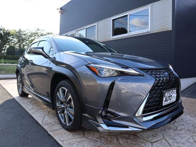 Lexus UX 2022-03 12122-2