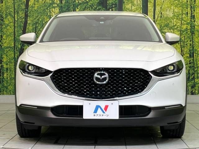 Mazda CX-30 2019-11 27436-14