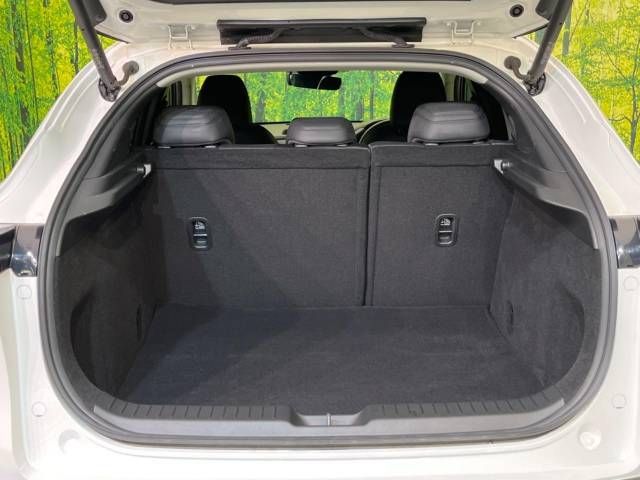 Mazda CX-30 2019-11 27436-10
