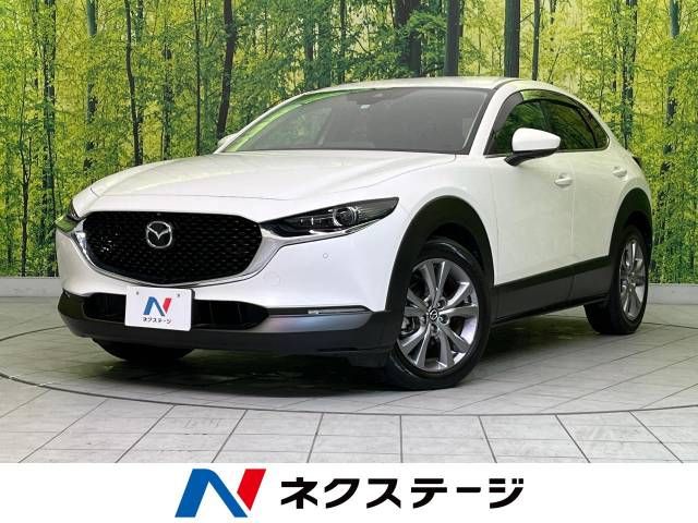 Mazda CX-30 2019-11 27436-0