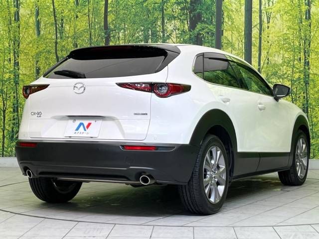 Mazda CX-30 2019-11 27436-17