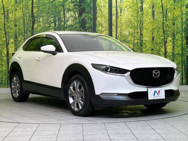 Mazda CX-30 2019-11 27436-16