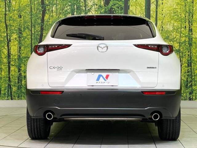 Mazda CX-30 2019-11 27436-15