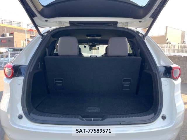 Mazda CX-8 2018-01 396258-17