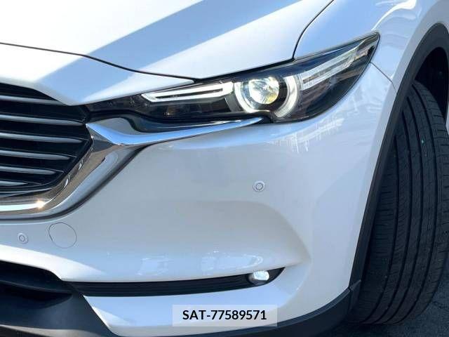 Mazda CX-8 2018-01 396258-19