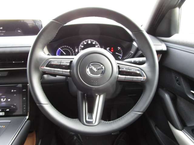 Mazda MX-30 2021-01 8202-12