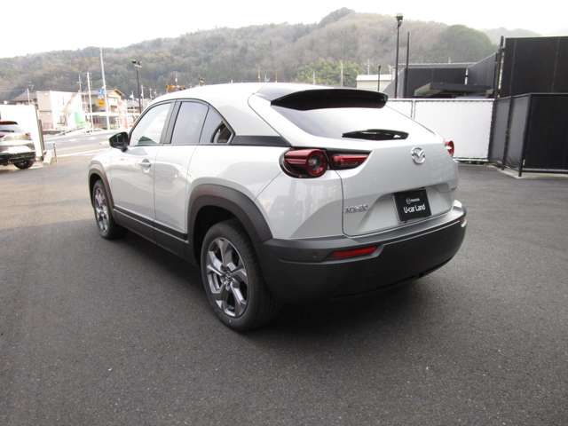 Mazda MX-30 2021-01 8202-8