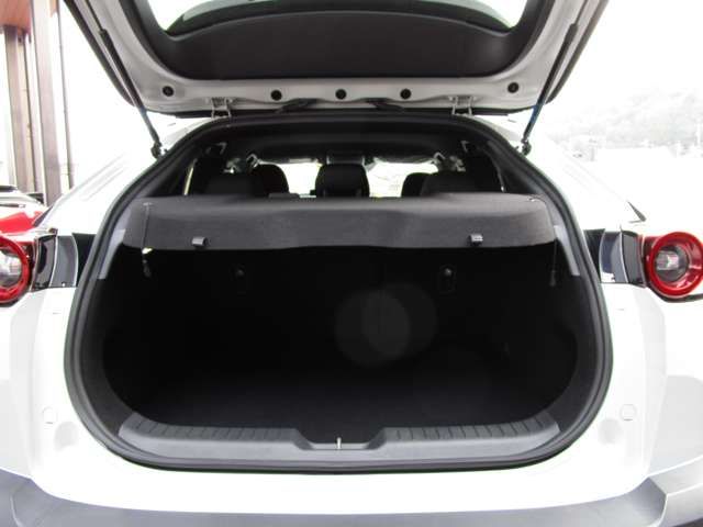 Mazda MX-30 2021-01 8202-19