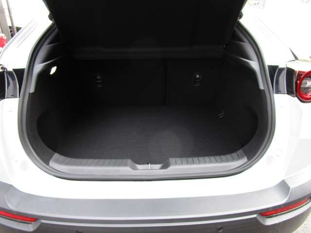 Mazda MX-30 2021-01 8202-18