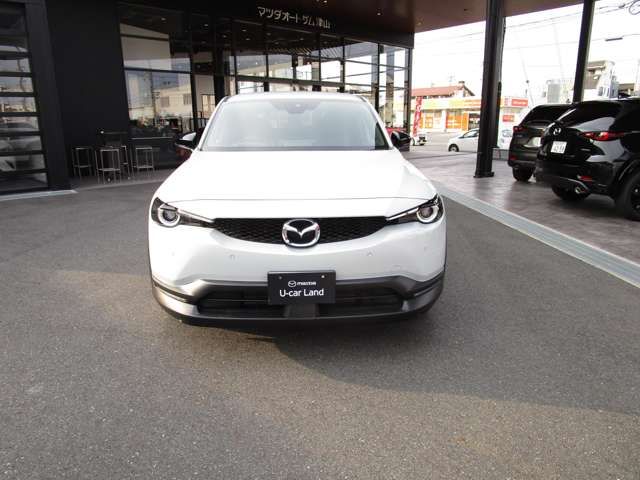 Mazda MX-30 2021-01 8202-3