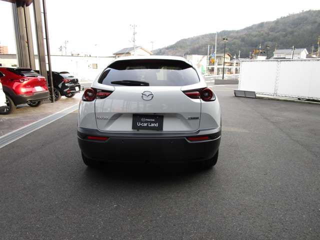 Mazda MX-30 2021-01 8202-6