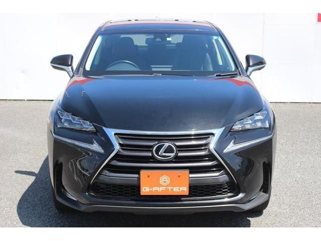 Lexus NX 2015-07 4652-7