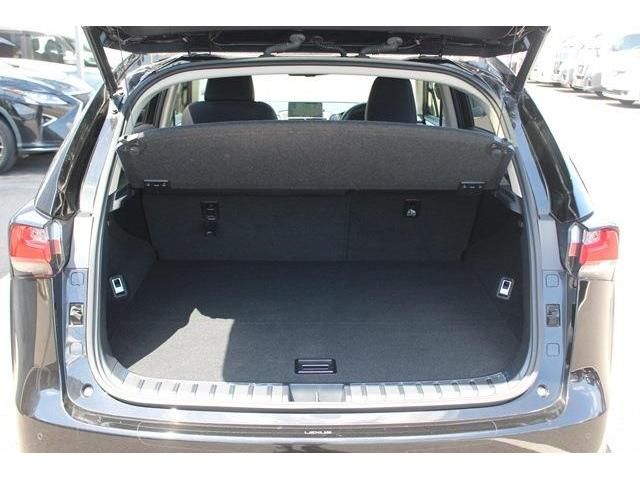 Lexus NX 2015-07 4652-17