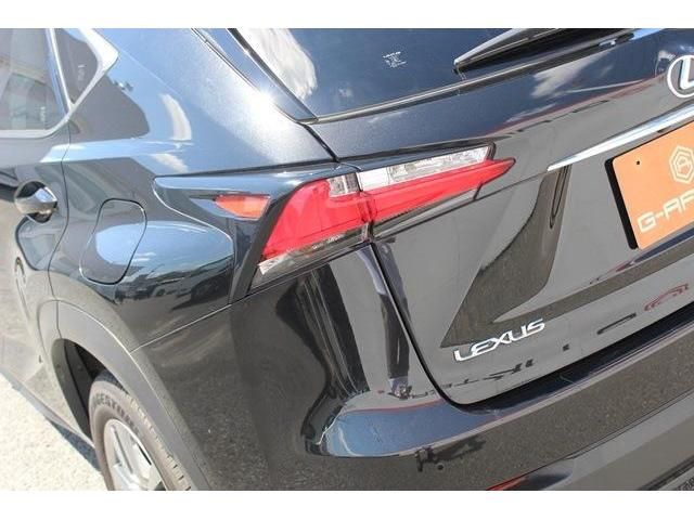Lexus NX 2015-07 4652-13