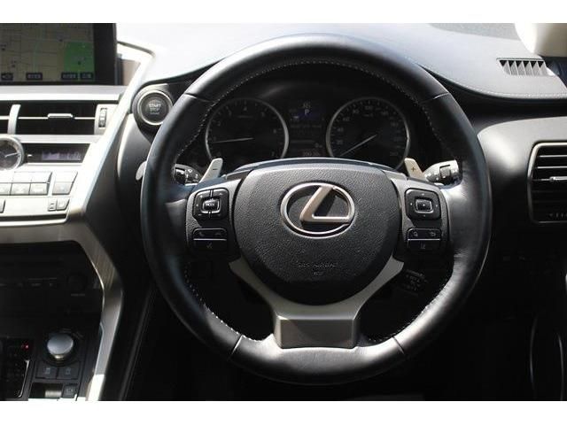Lexus NX 2015-07 4652-16