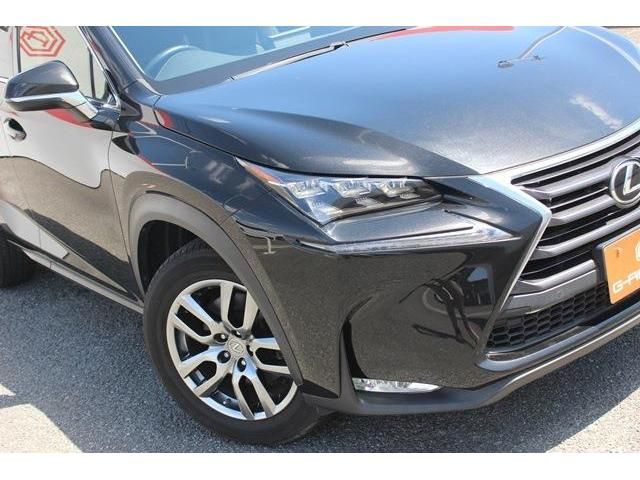 Lexus NX 2015-07 4652-12