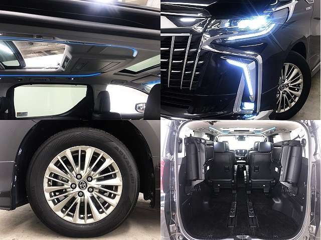 Toyota ALPHARD HYBRID 2018-04 194031-8