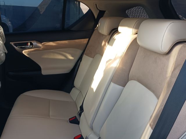 Lexus CT 2021-07 25441-20