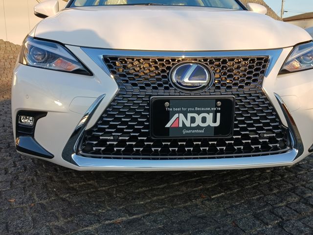 Lexus CT 2021-07 25441-5