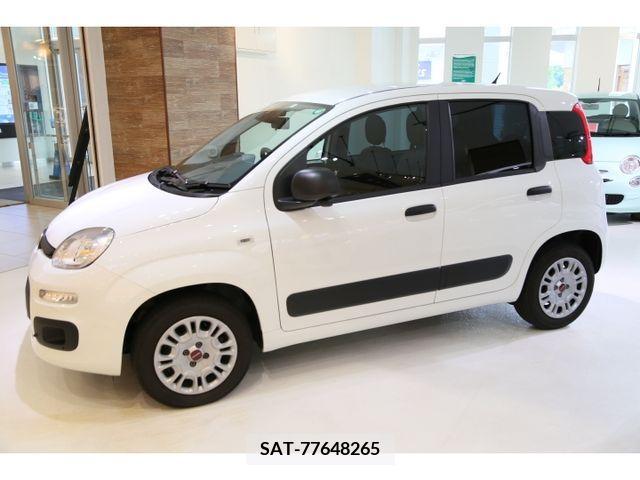 Fiat PANDA 2022-11 321056-5