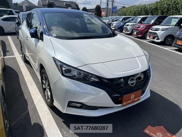 Nissan LEAF 2021-09 367078-0