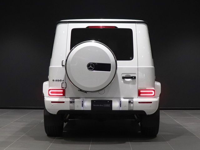 Mercedes Benz G-CLASS 2022-08 194376-10