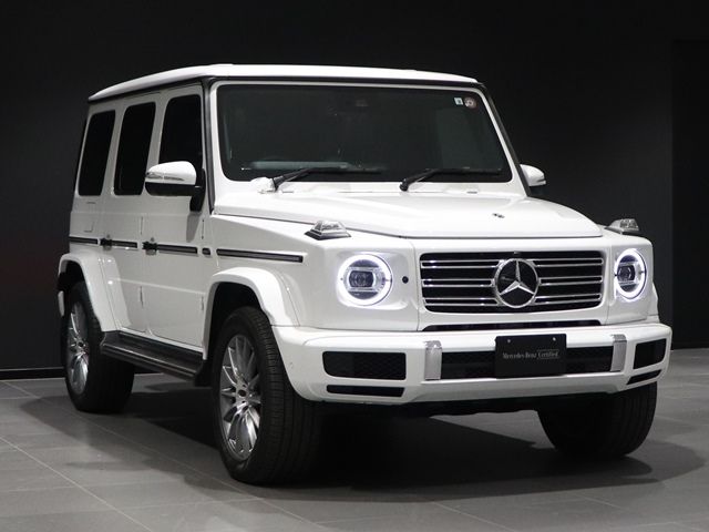 Mercedes Benz G-CLASS 2022-08 194376-6