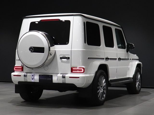 Mercedes Benz G-CLASS 2022-08 194376-9