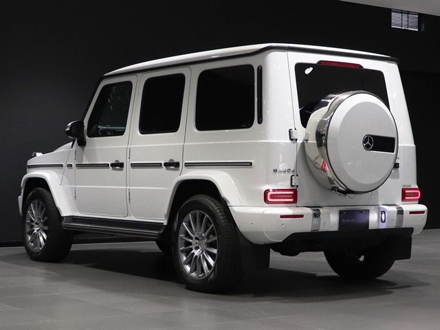 Mercedes Benz G-CLASS 2022-08 194376-12
