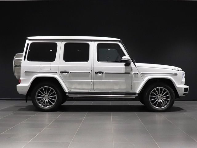 Mercedes Benz G-CLASS 2022-08 194376-8