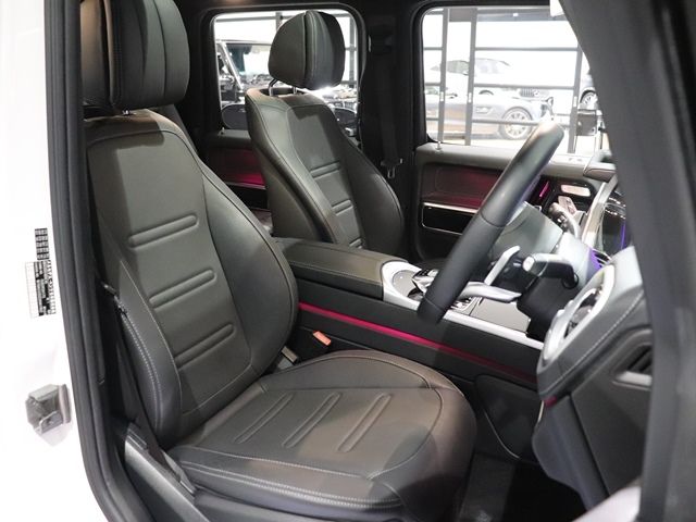 Mercedes Benz G-CLASS 2022-08 194376-24