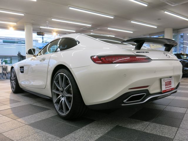 Amg GT 2018-03 15399-10