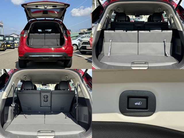 Nissan X-TRAIL 2019-04 20895-27