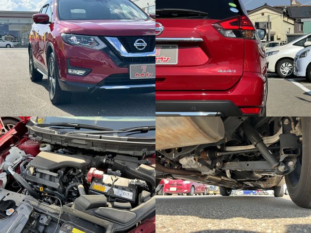 Nissan X-TRAIL 2019-04 20895-28