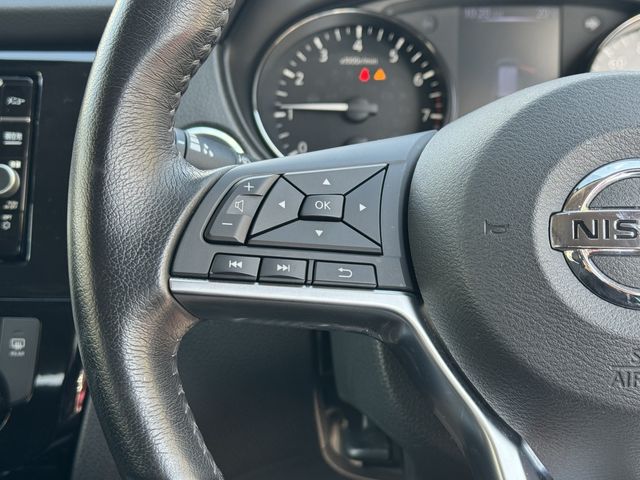 Nissan X-TRAIL 2019-04 20895-13