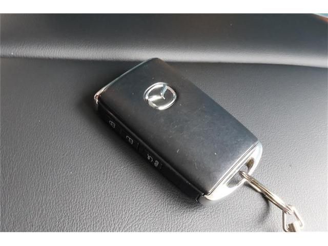 Mazda CX-60 2023-04 183869-21