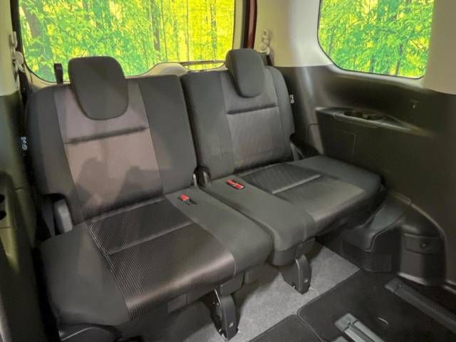 Nissan SERENA 2018-06 17574-10