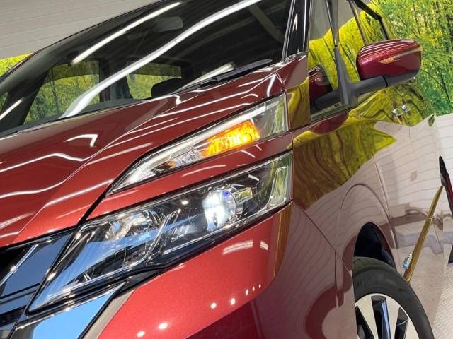 Nissan SERENA 2018-06 17574-13
