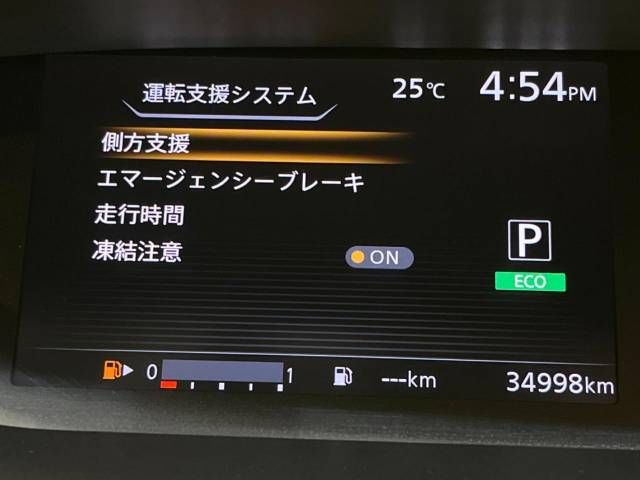Nissan SERENA 2018-06 17574-5